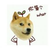 Bao